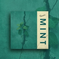 Jet Mineral "Mint"