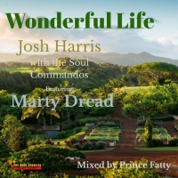 Josh Harris aka DJ Big Feet x Marty Dread "Wonderful Life"