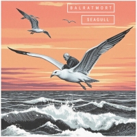 Balratmort "Seagull"