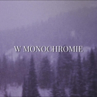 Dawid Bestry "w monochromie"