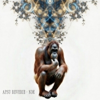 Apsu Reverie "All-Nighter"