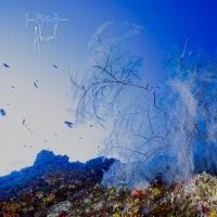 Juan Martín Herrera "La Marea"