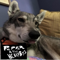 Pepper and The Heavy Boys "I Love My Dog"