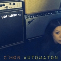 Paradiso PDE "C麓mon automaton"