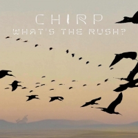 Chirp "What´s The Rush?"
